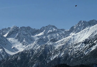 雪山之王-雪豹纪录片